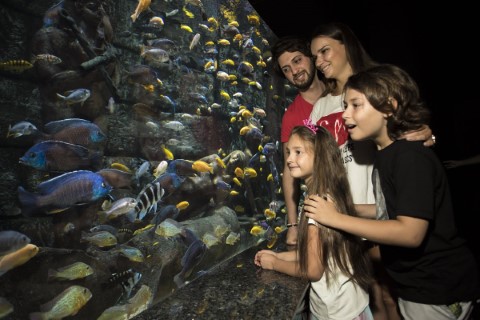 Antalya Aquarium - 94