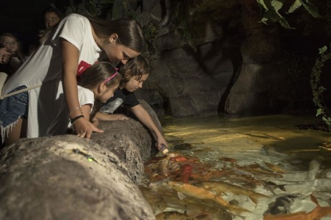 Antalya Aquarium - 94