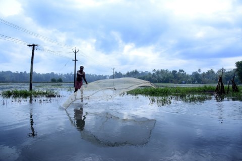 River Side Homestay - 133