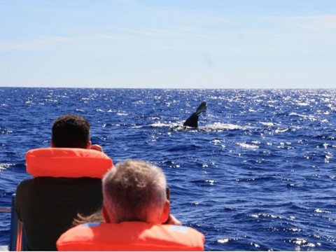 Adventure Travel In Madeira - 298