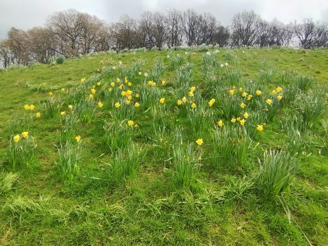 Rouken Glen Park  - 1229