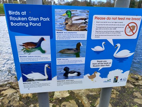 Rouken Glen Park  - 1229