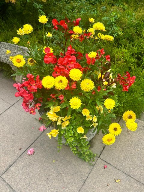 Ashridge House  - 1248