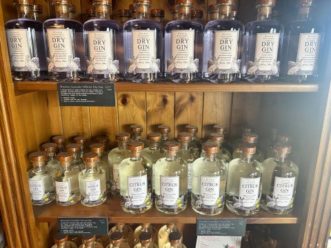 Hitchin Lavender - 1252