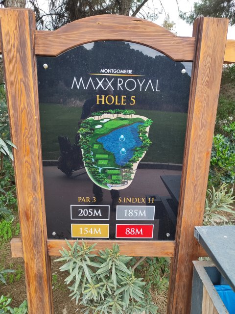 Montgomerie Maxx Royal - 1289