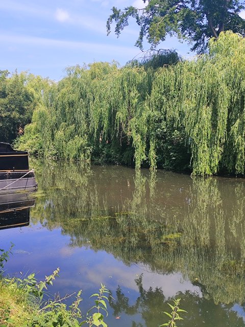 Grand Union Canal  Kings Langley To Apsley - 1343