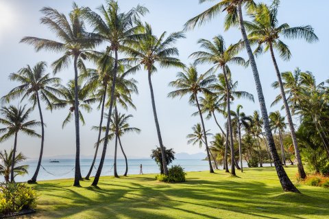 Orpheus Island