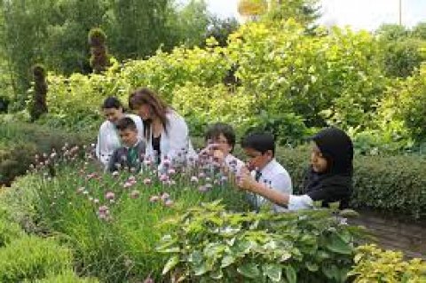 The Hidden Gardens - 1096