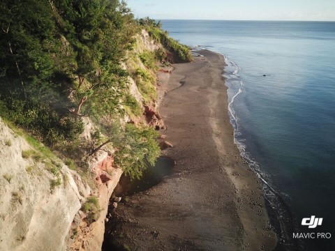 The Tamarind Tree Hotel  - 199