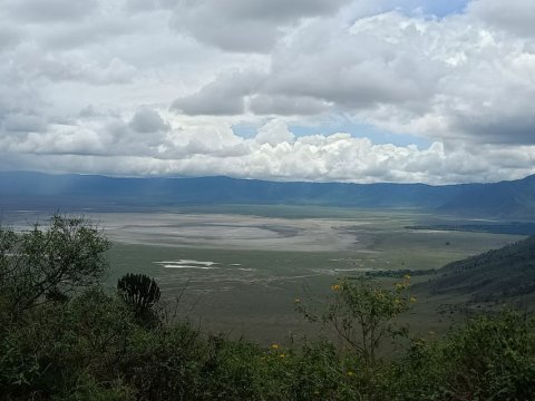 Domus Aurea Safari Company Limited - 1186