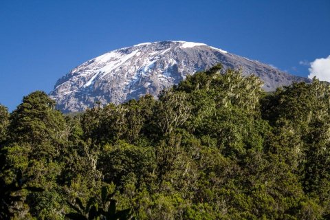 Domus Aurea Safari Company Limited - 1186