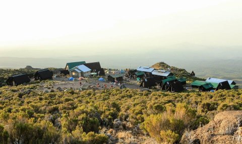 Domus Aurea Safari Company Limited - 1186