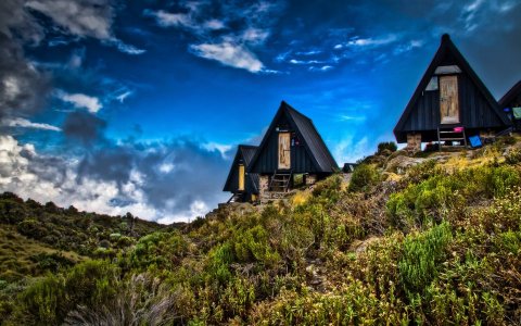 Domus Aurea Safari Company Limited - 1186