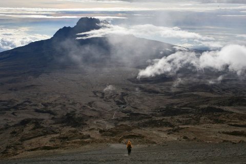 Domus Aurea Safari Company Limited - 1186