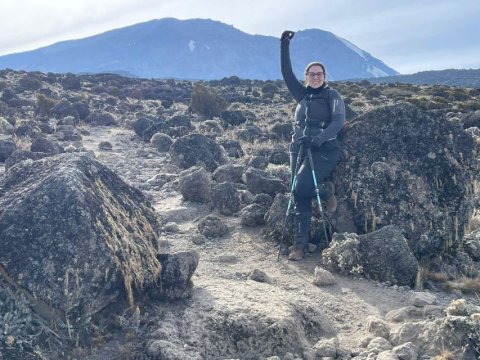 Domus Aurea Safari Company Limited - 1186