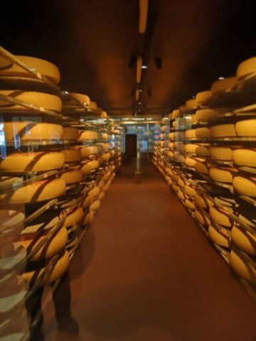 Typically Swiss Tours - 244