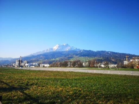 Typically Swiss Tours - 244