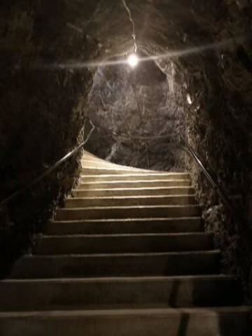 Typically Swiss Tours - 244