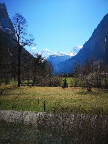 Typically Swiss Tours - 244