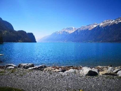 Typically Swiss Tours - 244