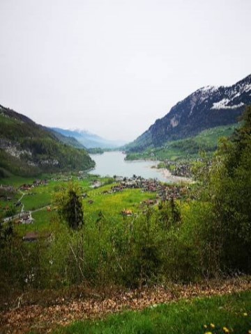 Typically Swiss Tours - 244