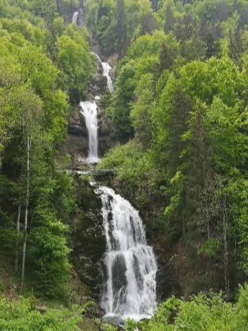 Typically Swiss Tours - 244