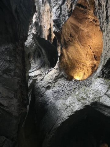 Typically Swiss Tours - 244