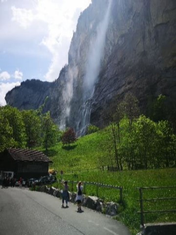 Typically Swiss Tours - 244