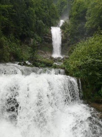 Typically Swiss Tours - 244