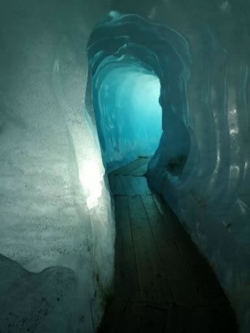 Typically Swiss Tours - 244