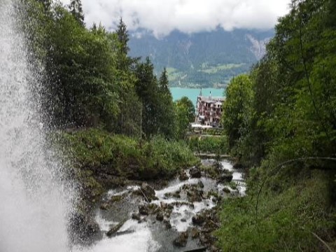 Typically Swiss Tours - 244