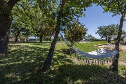 Quercuum Dimorae - 1253