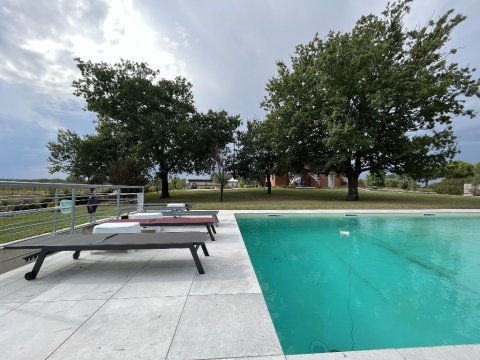 Quercuum Dimorae - 1253