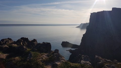 The Gower Guided Tour - Mumbles, Three Cliffs And Worms Head - 1304