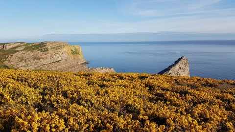 The Gower Guided Tour - Mumbles, Three Cliffs And Worms Head - 1304