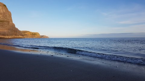 The Gower Guided Tour - Mumbles, Three Cliffs And Worms Head - 1304