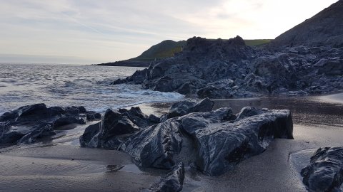 The Gower Guided Tour - Mumbles, Three Cliffs And Worms Head - 1304