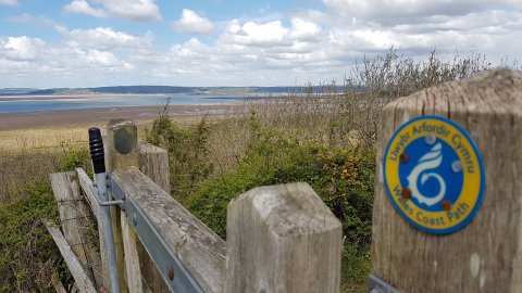The Gower Guided Tour - Mumbles, Three Cliffs And Worms Head - 1304