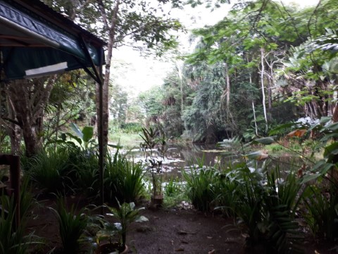 Coloisuva Rainforest Eco Resort - 171