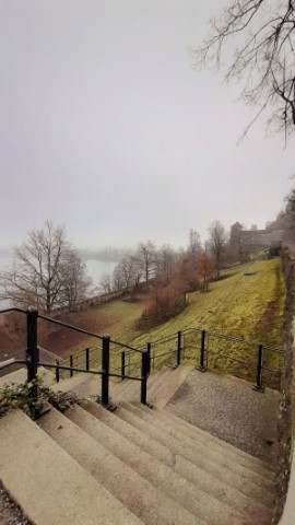 Typically Swiss Tours - 244