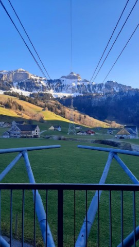 Typically Swiss Tours - 244