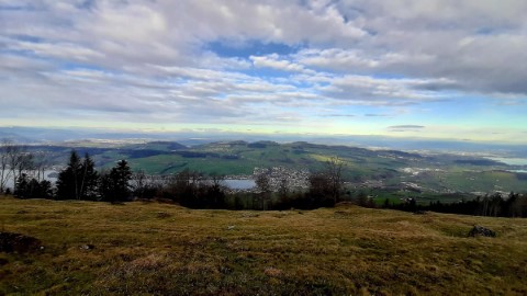 Typically Swiss Tours - 244