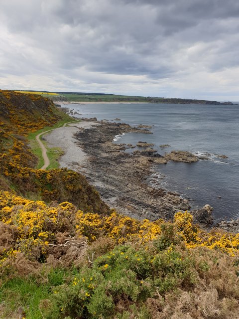 Isla Bank House  - 285