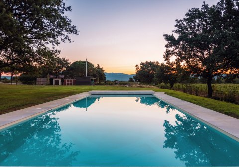 Quercuum Dimorae - 1253