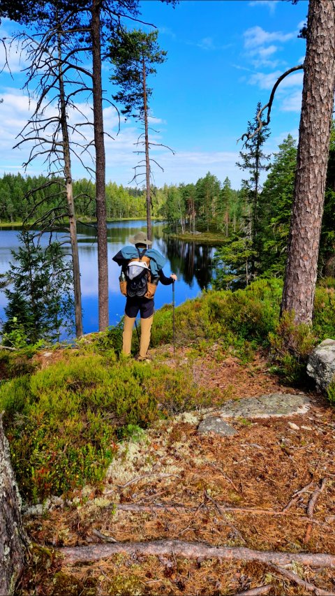 The Hammock Trail Sweden - 1392