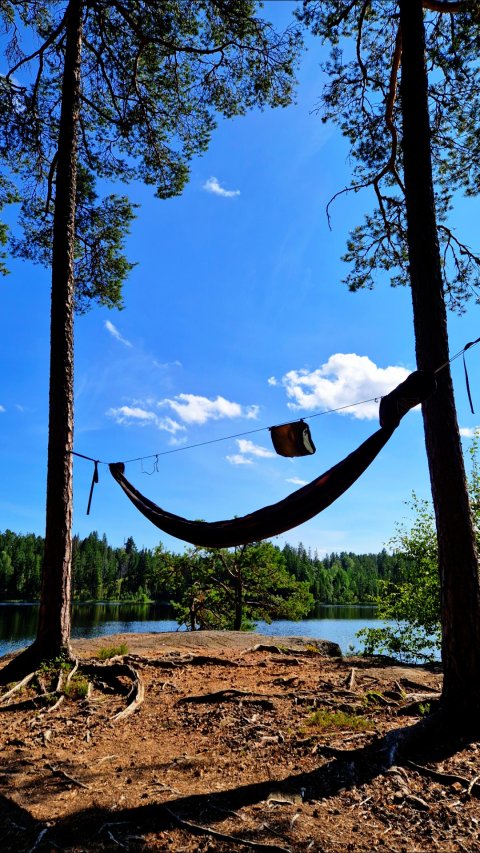 The Hammock Trail Sweden - 1392