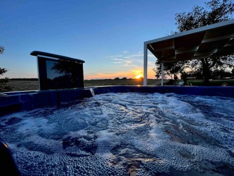 Quercuum Dimorae - 1253