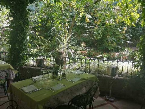 Oparrucchiano La Favorita - 1074