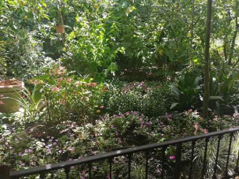 Oparrucchiano La Favorita - 1074