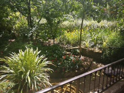 Oparrucchiano La Favorita - 1074